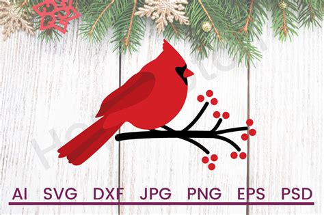 Download Free Cardinal SVG, Christmas SVG, Bird SVG, DXF File, Cuttable File Commercial Use